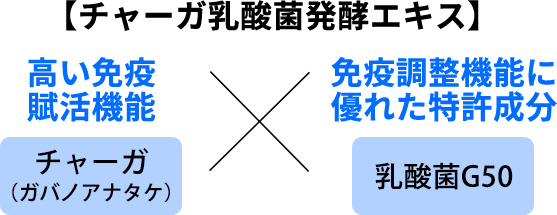 【チャーガ乳酸菌発酵エキス】『高い免疫賦活機能「チャーガ（ガバノアナタケ）」』×『免疫調整機能に
優れた特許成分「乳酸菌G50」』