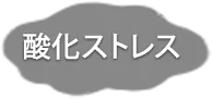 酸化ストレス